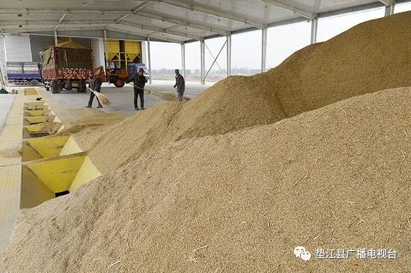 最新粮油储藏技术规范与小仓库中的温馨故事