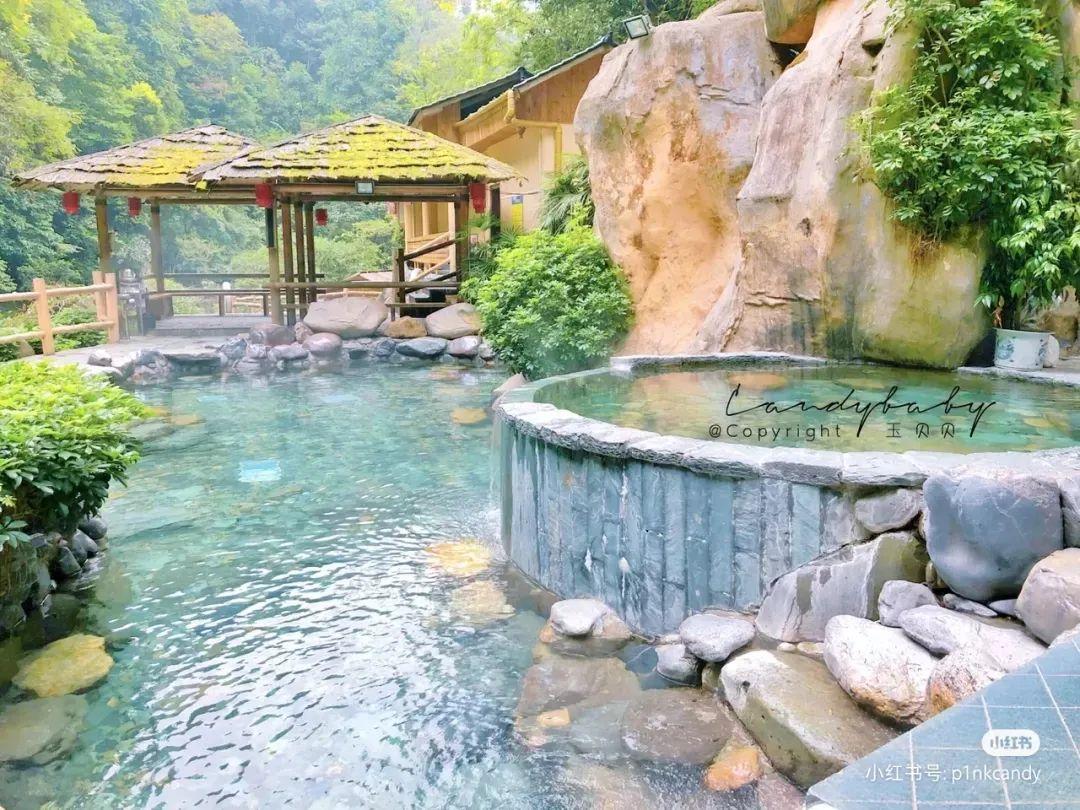 新疆队最新动态，自然之旅的呼唤，心灵远离尘嚣的旅程