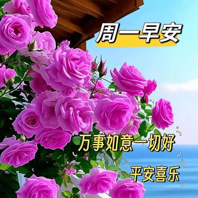 早上好最新祝福图片制作指南与温馨祝福传递