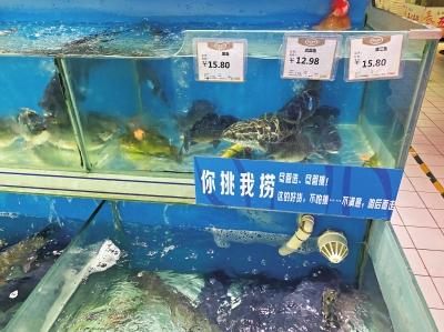 淡水鱼价格实时更新，最新行情概览