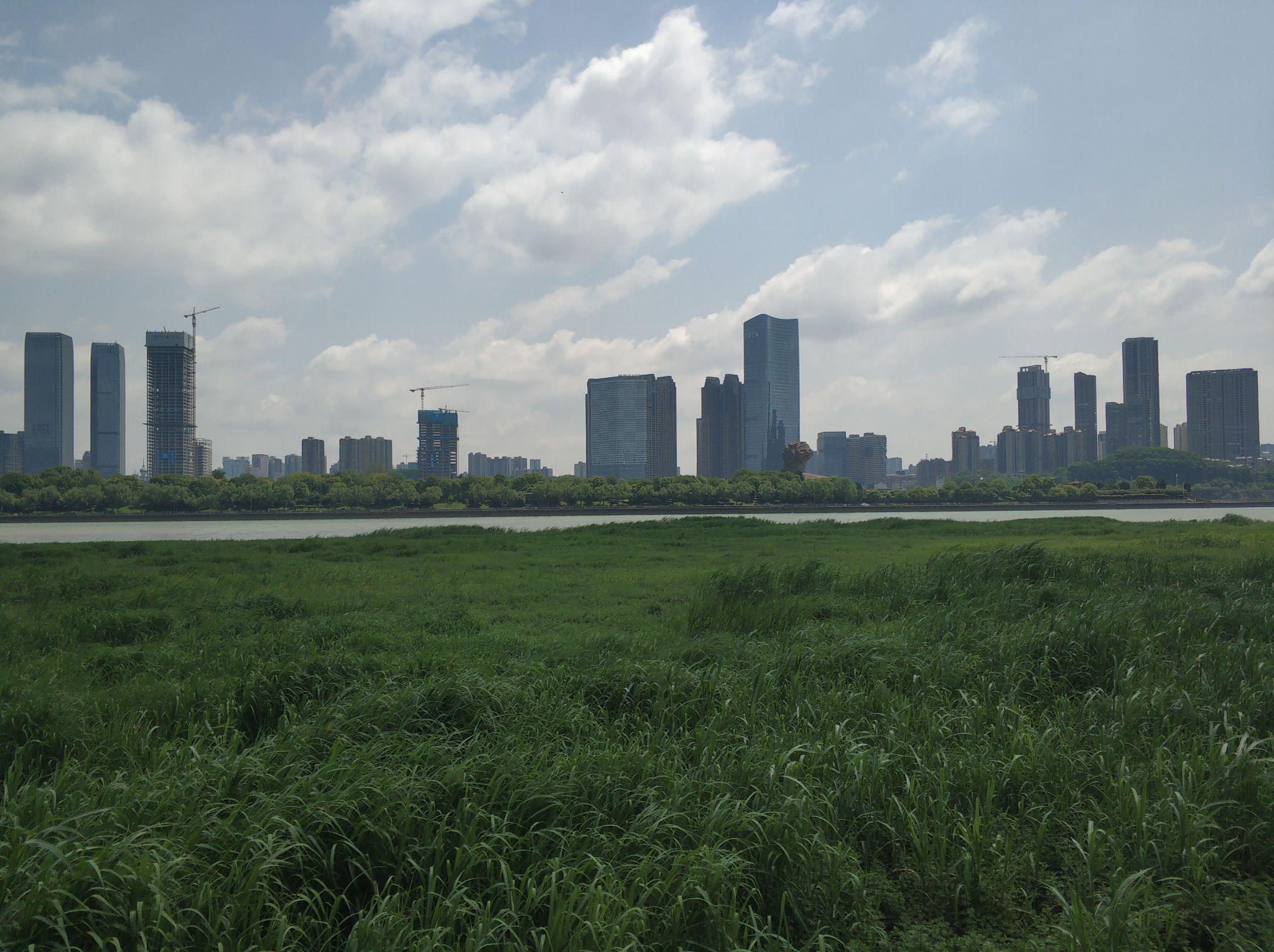 原油期货最新动态与小巷深处的独特风景揭秘