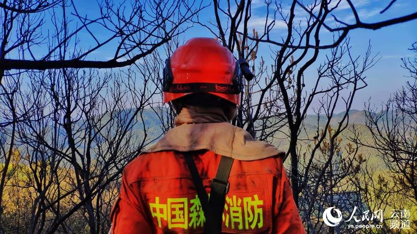 昆明火灾最新动态，力量与希望之光在行动