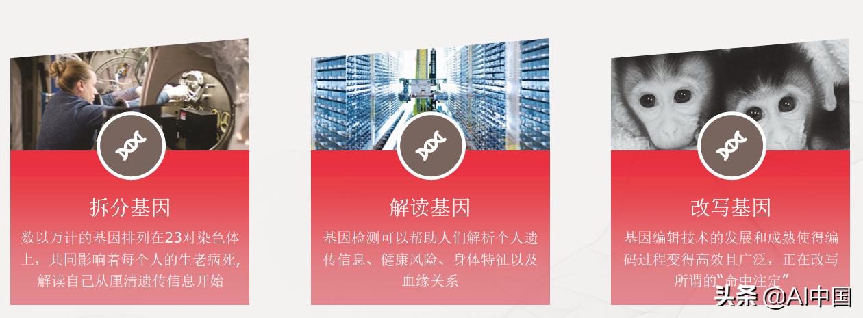京东APP最新版本下载，时代变迁中的电商巨头