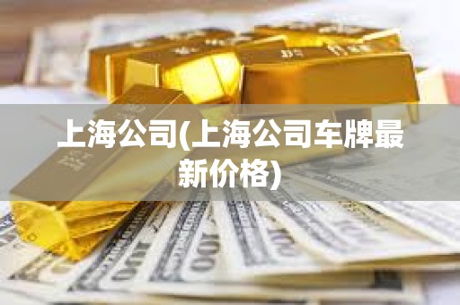 上海公牌最新价格论述与分析