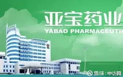 亚宝药业最新消息速递，日常动态与温馨回顾