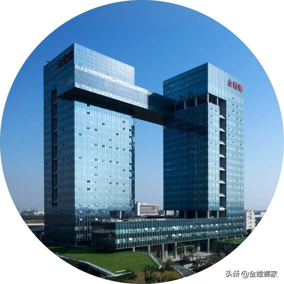 金螳螂股票最新动态与行业趋势、投资前景深度解析