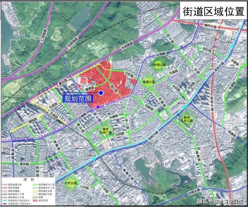 干细胞最新进展与消息速递，步骤指南全解析