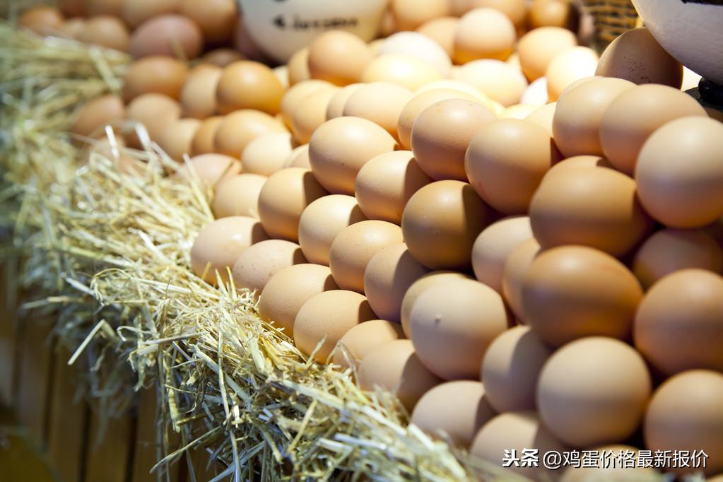 北京鸡蛋价格最新动态，背景、影响与特定领域地位分析