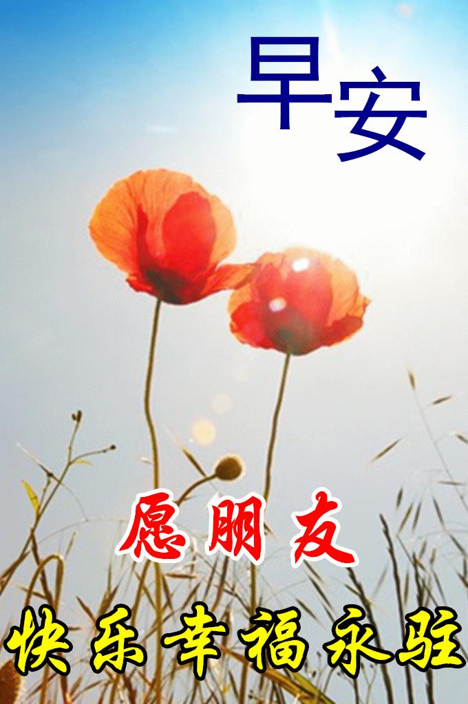 晚安最新图片，带你进入甜美梦境的世界