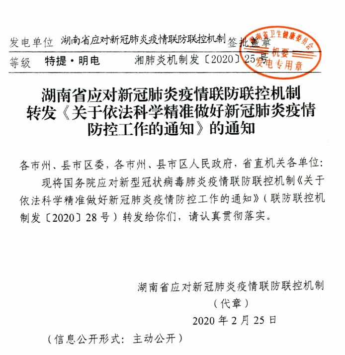 巴西最新新冠肺炎通报，疫情下的温馨日常观察