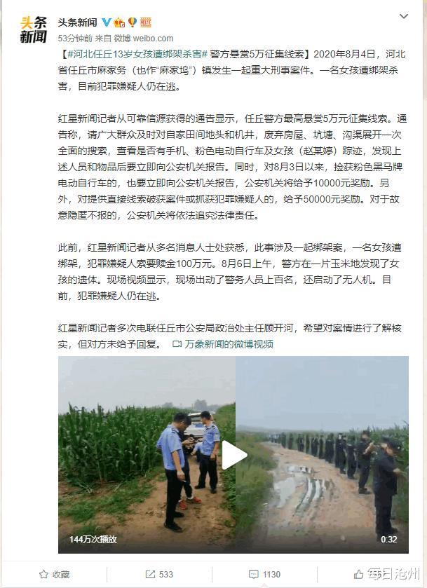 河北任丘绑架案最新进展及论述分析
