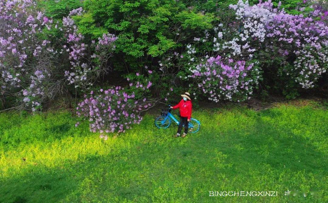 自然美景鼓舞之旅