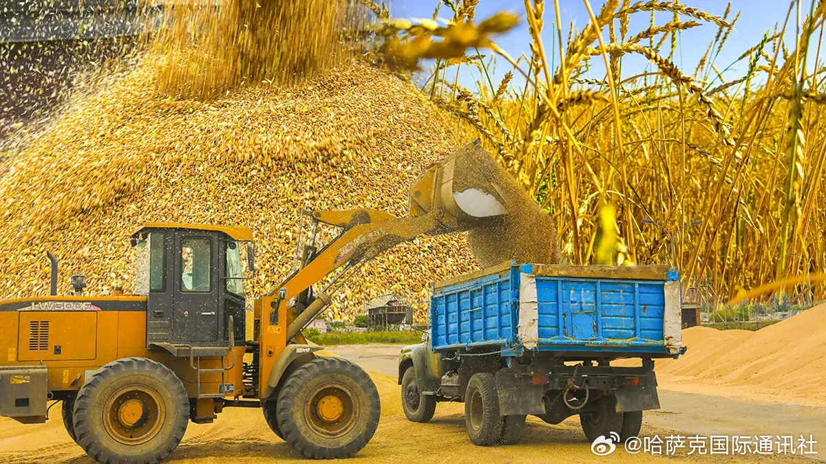 律师营业执照 第148页