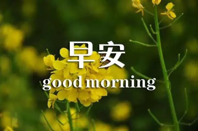 最新早安朋友圈句子，与自然美景的邂逅，寻找心灵的平和