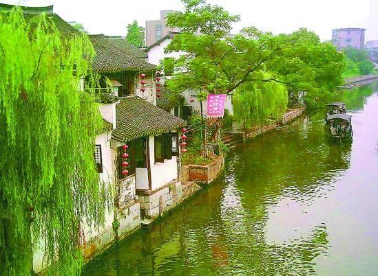 青蛙市场最新价格行情揭秘，小巷中的意外发现