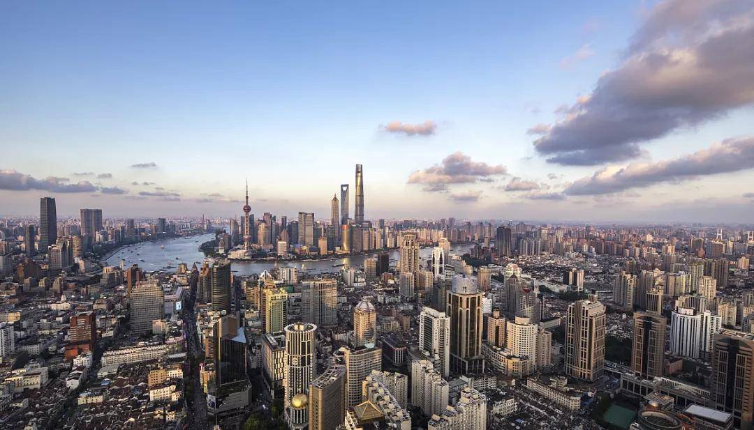 大头三年最新价格走势解析，市场趋势、收藏价值及热门品种深度剖析