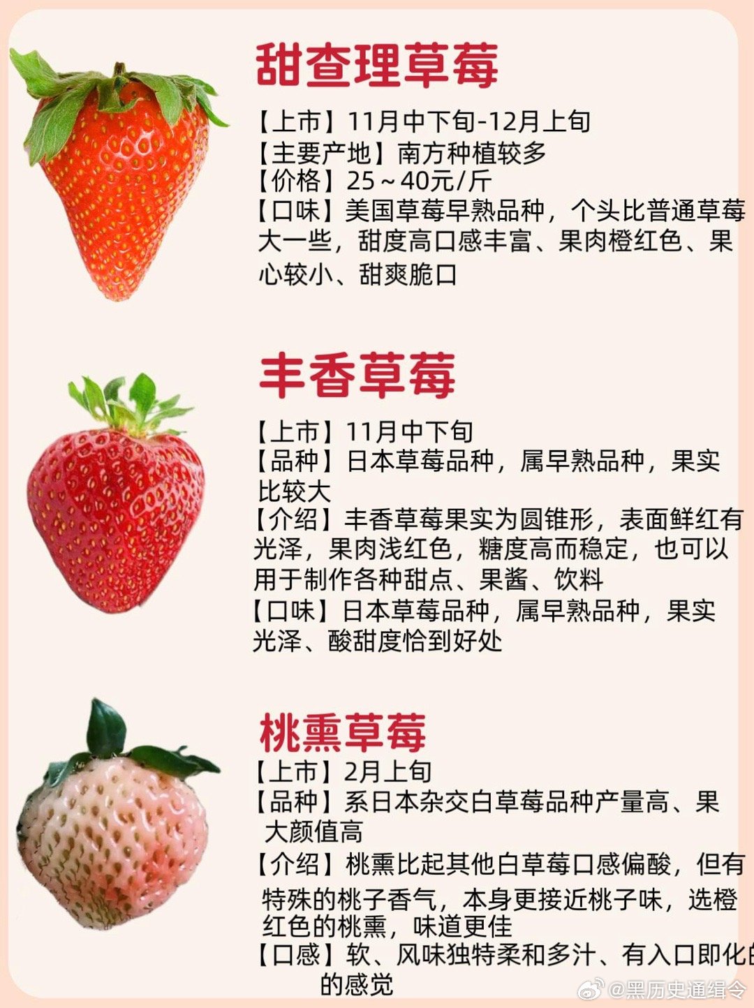 最新品种草莓，深度探究背景、影响与地位