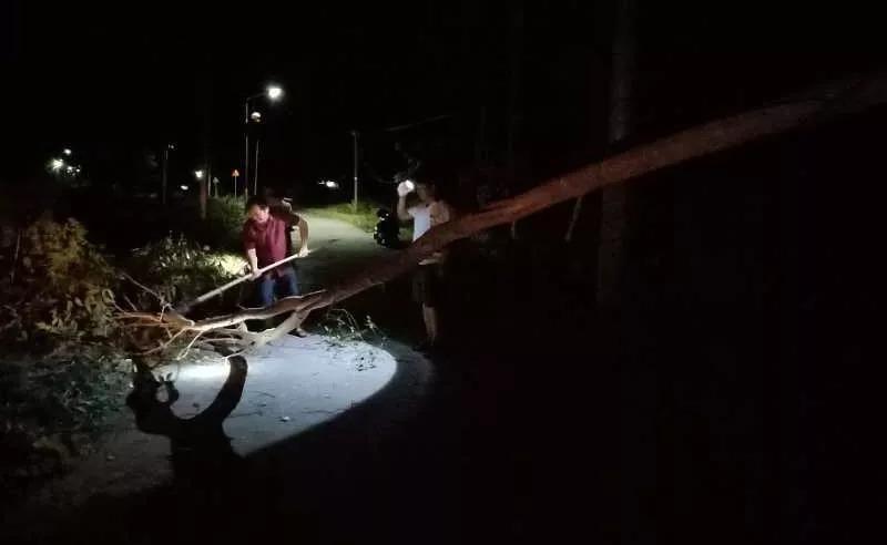 台风最新消息，逆风中的成长与力量——第16号台风追踪报道