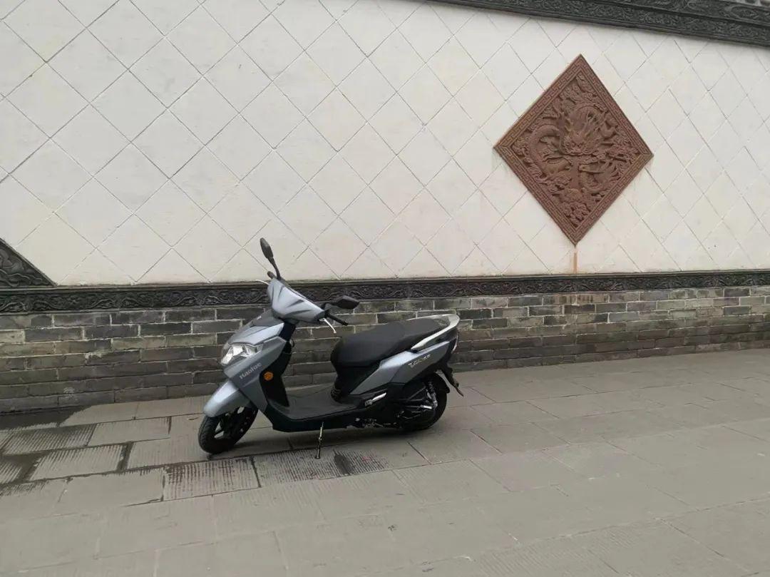 小巷中的宝藏