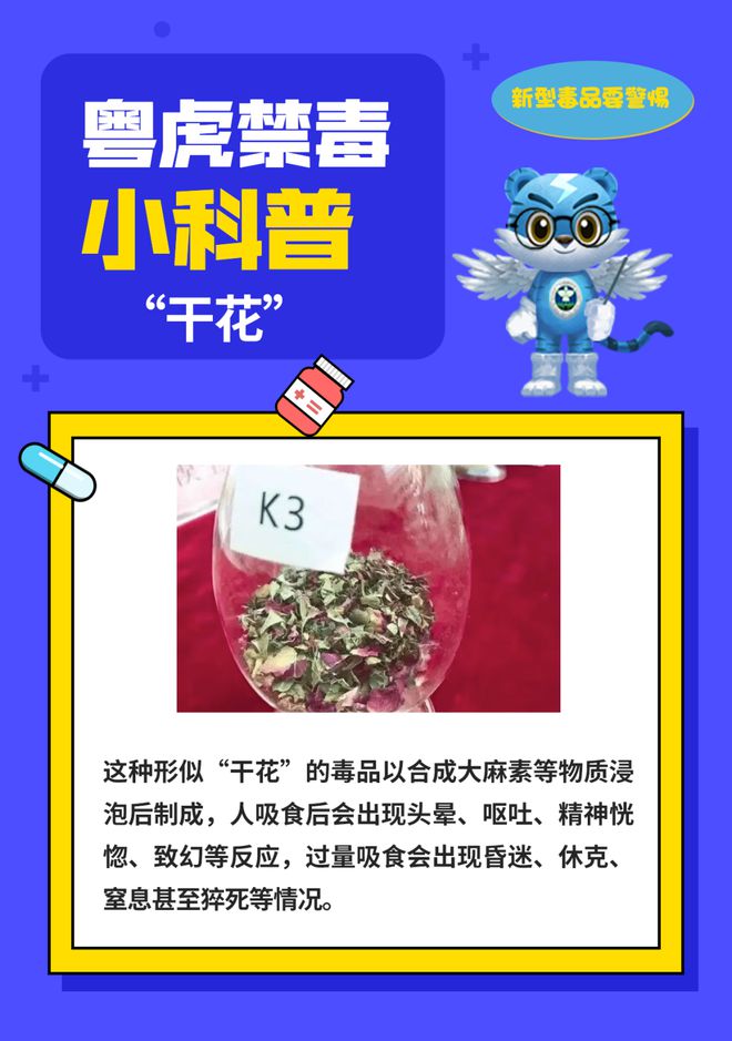 毒卡最新版，奇妙一天中的新动态