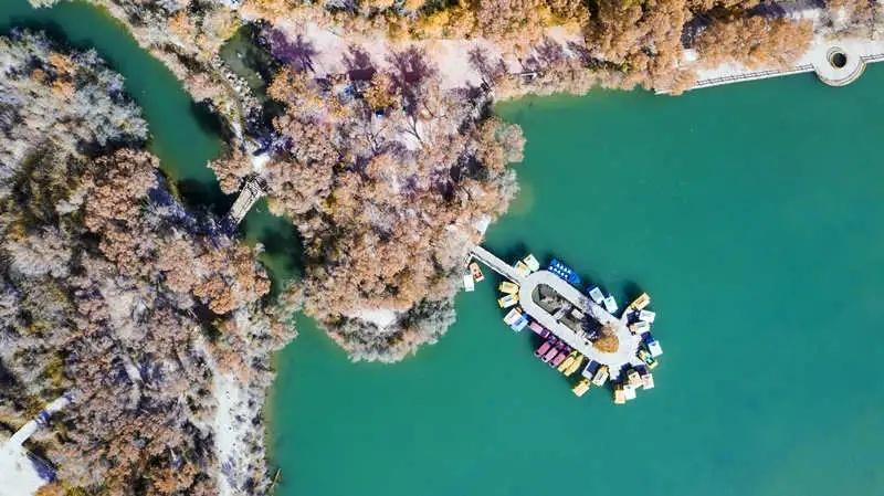 新疆喀什最新无症状变化，展现自信与学习的力量