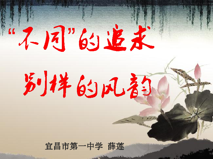 二十不惑最新周寻，无悔的青春追求