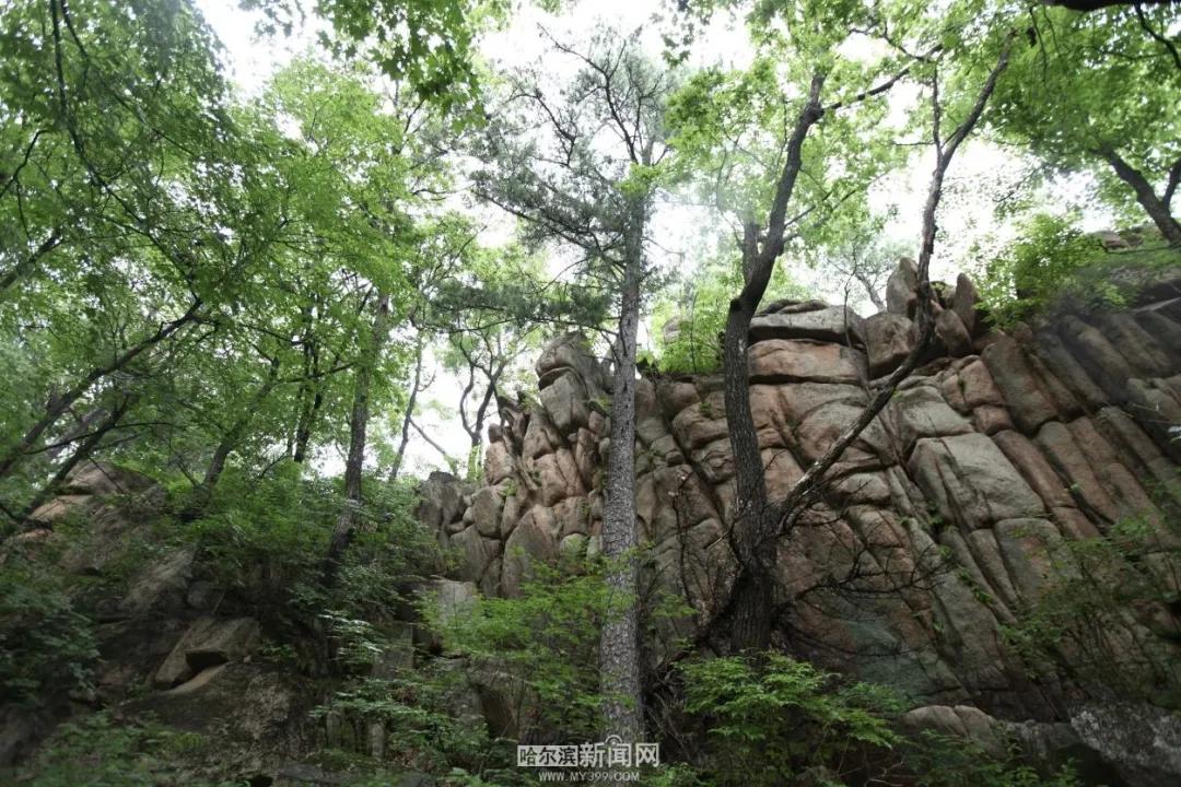刀一耕最新小说，时代印记与文学力量的碰撞