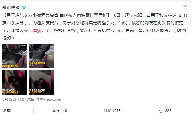 网络时代下的爱干视频与道德伦理探讨，最新网动态分析