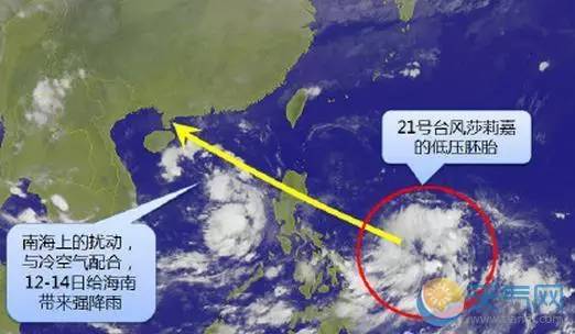 最新形成台风动态，夏日奇遇与挑战