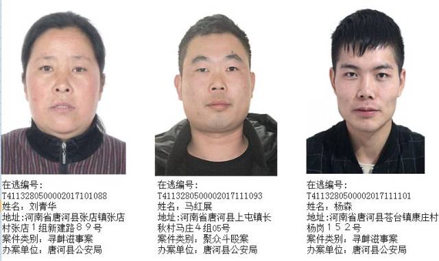 南阳最新通缉令与小巷深处的神秘特色小店揭秘