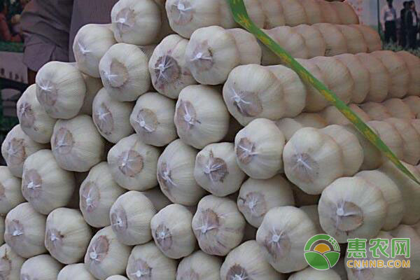 律师营业执照 第63页