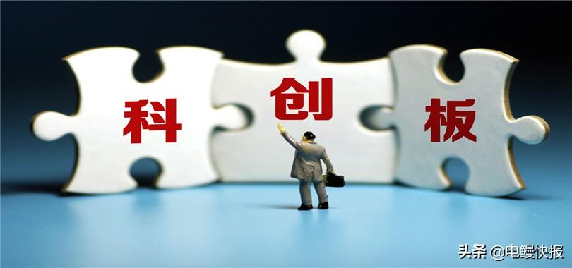 新股票申购指南，掌握申购技巧，开启财富增长之门