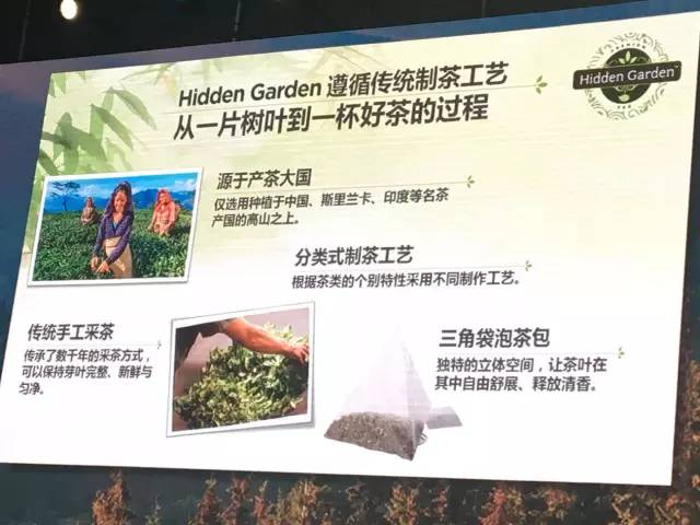 回顾温馨岁月，精选文章回顾2017年点滴回忆