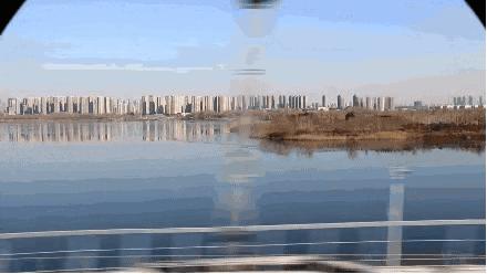 最新车轮驾考通app详解与论述