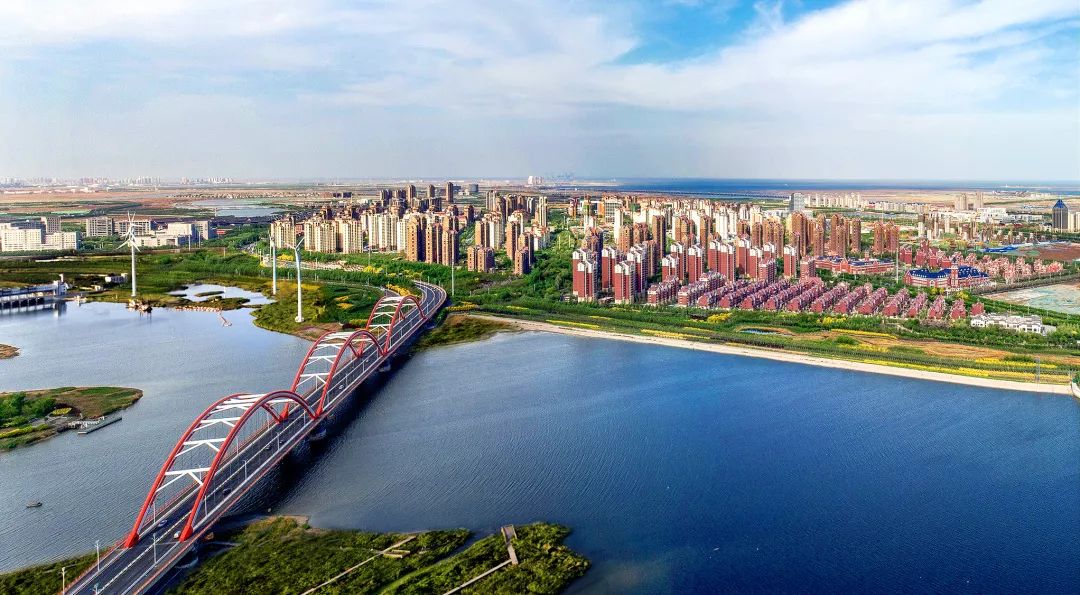 海阳修建龙最新动态，龙影之下的温馨日常揭秘
