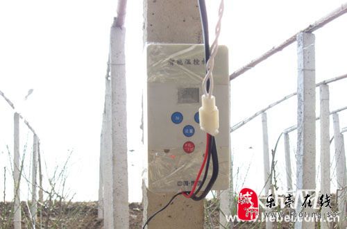 乐亭贴吧最新动态更新速递