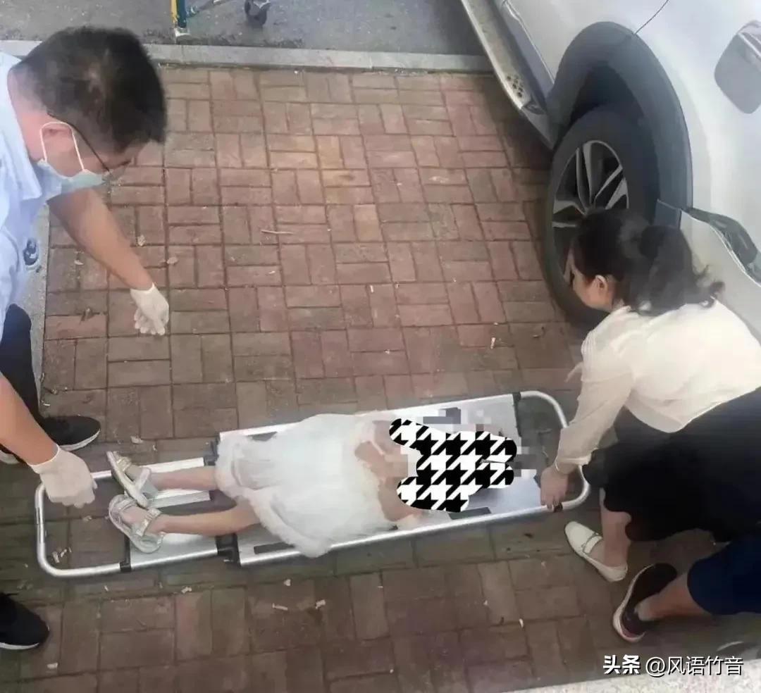 浙江温州车祸最新动态，变化带来的自信与成就感