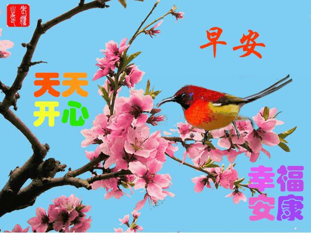 最新早上好动图