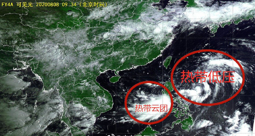 东莞台风最新动态，风暴之眼掠过珠三角的震撼之旅